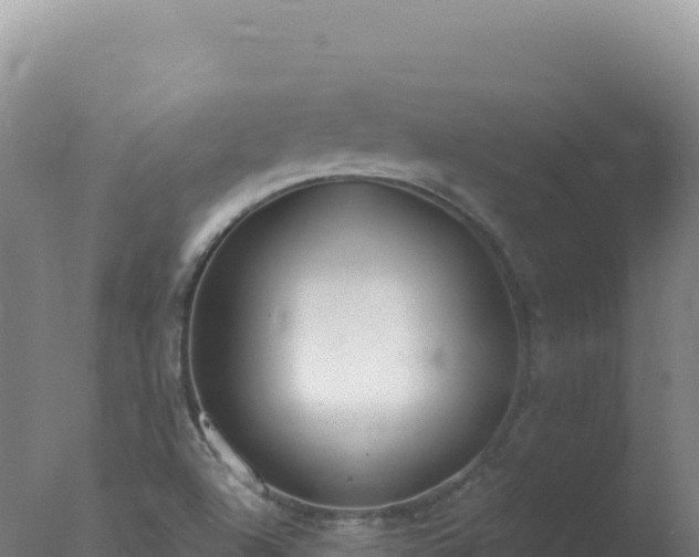 X0000077371504200610271906