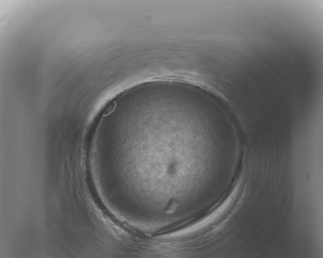 X0000077371506200610271906