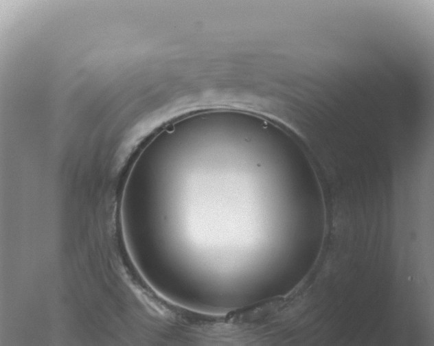 X0000077371507200610271906