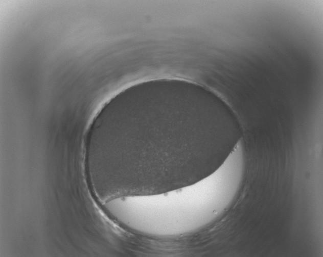 X0000077371508200610271906