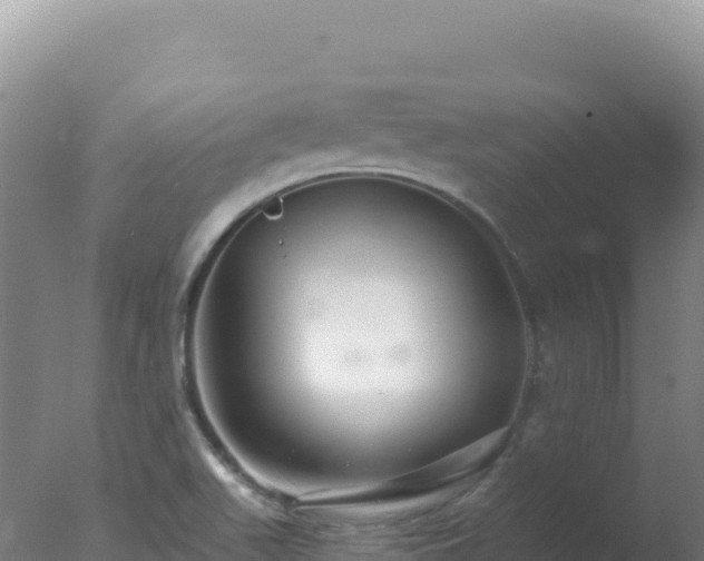 X0000077371511200610271906