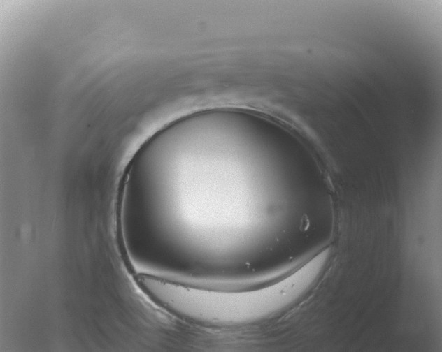 X0000077371512200610271906