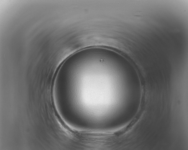 X0000077371513200610271906