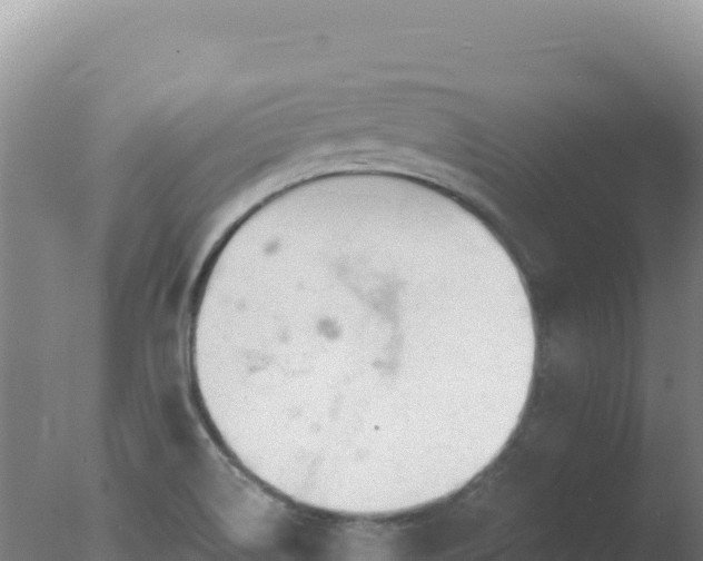 X0000077371514200610271906