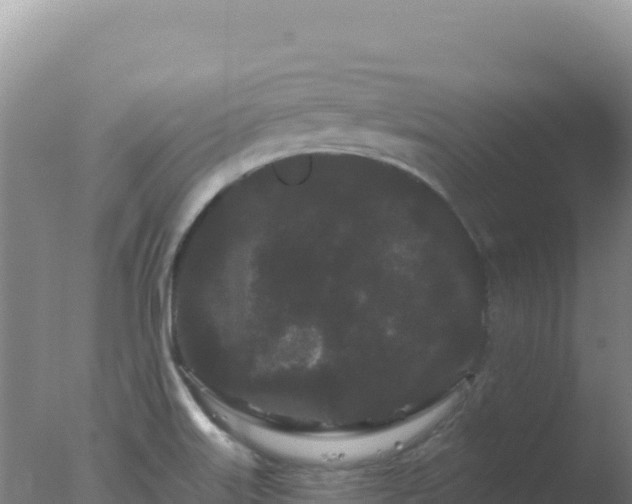 X0000077371515200610271906