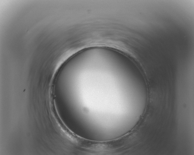 X0000077371517200610271907