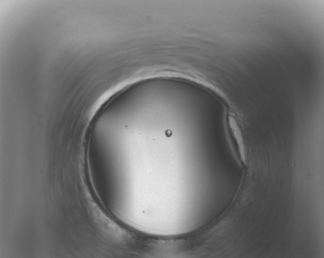 X0000077371518200610271907