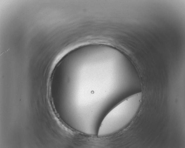 X0000077371520200610271907