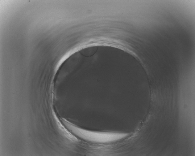 X0000077371522200610271907