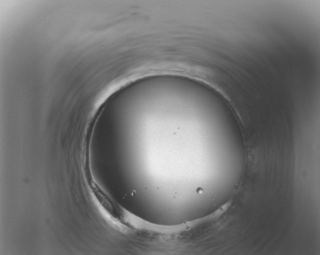 X0000077371523200610271907