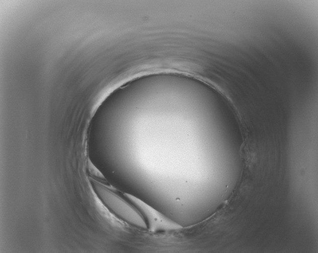 X0000077371524200610271907