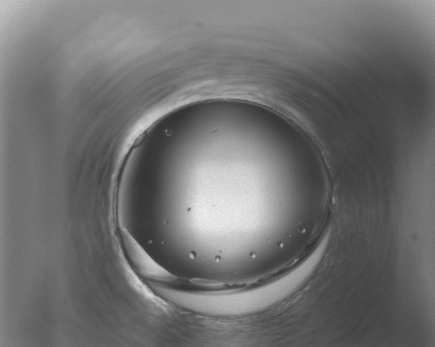 X0000077371528200610271907