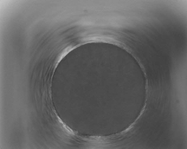 X0000077371529200610271907