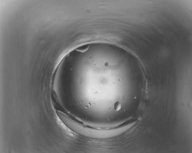 X0000077371532200610271907