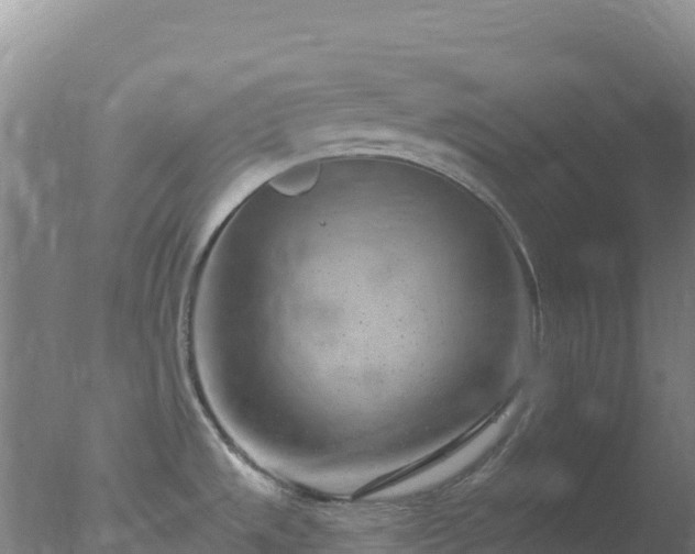 X0000077371533200610271907