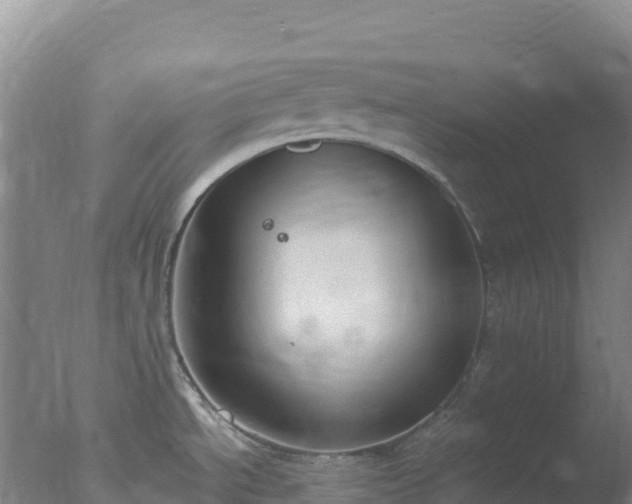 X0000077371534200610271907