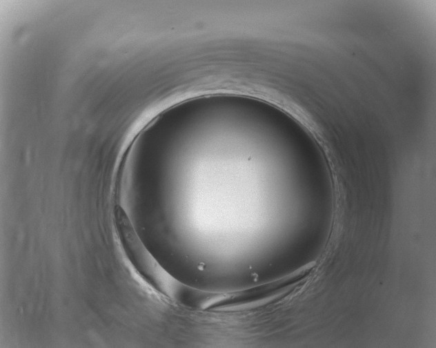 X0000077371536200610271907