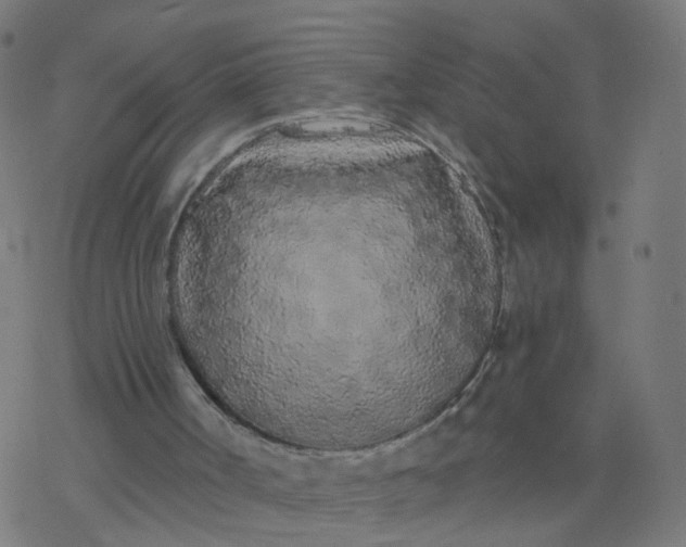 X0000077370002200611031923