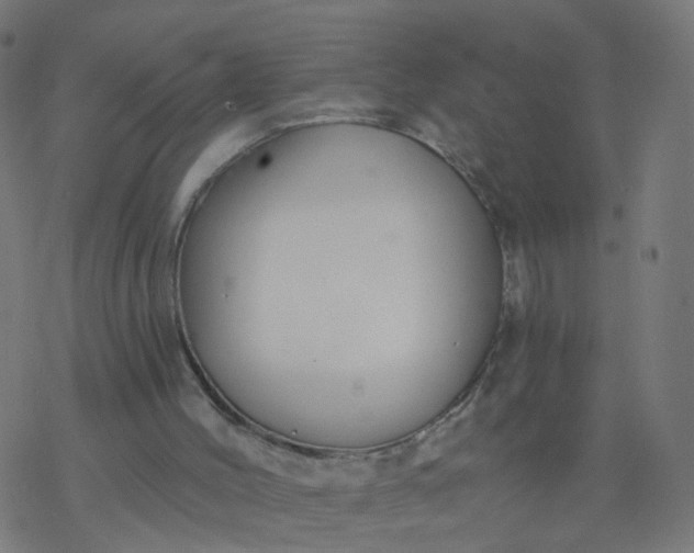 X0000077370004200611031923