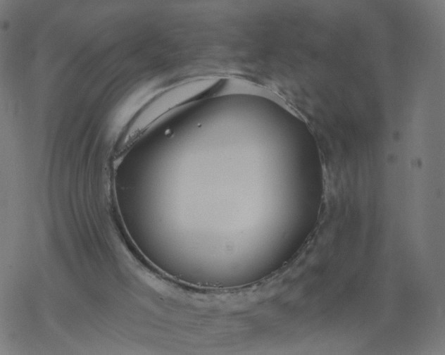 X0000077370005200611031923