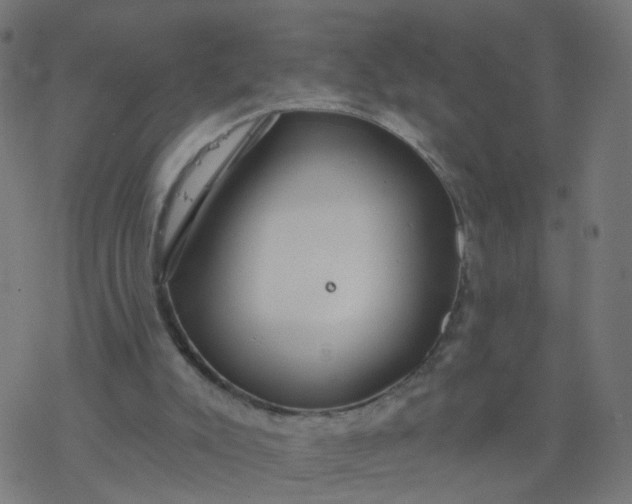 X0000077370007200611031923