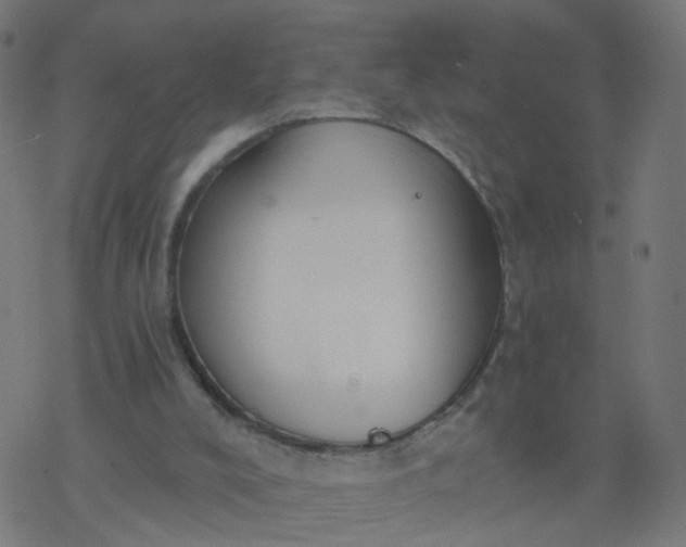 X0000077370008200611031923