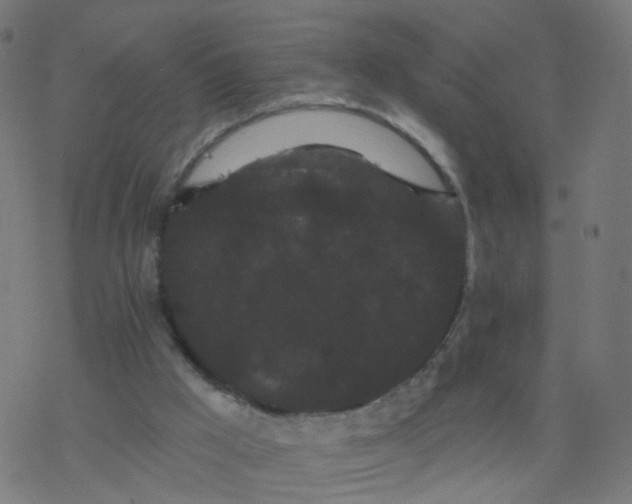 X0000077370009200611031923