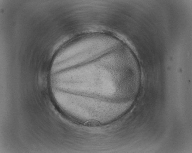 X0000077370010200611031923