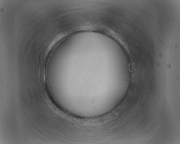 X0000077370011200611031923