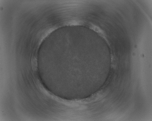 X0000077370012200611031923