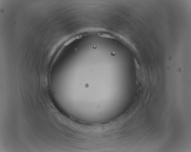 X0000077370015200611031923