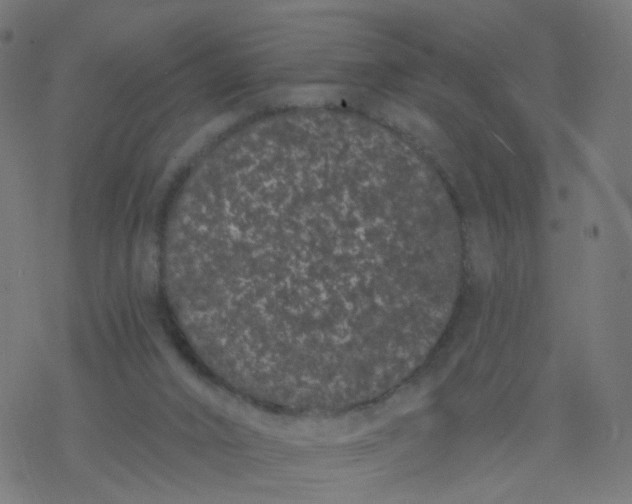 X0000077370016200611031923