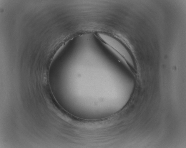 X0000077370017200611031923