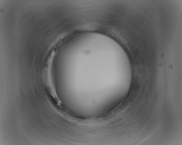 X0000077370020200611031923