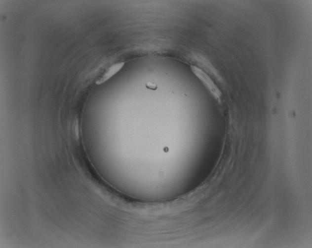 X0000077370021200611031923