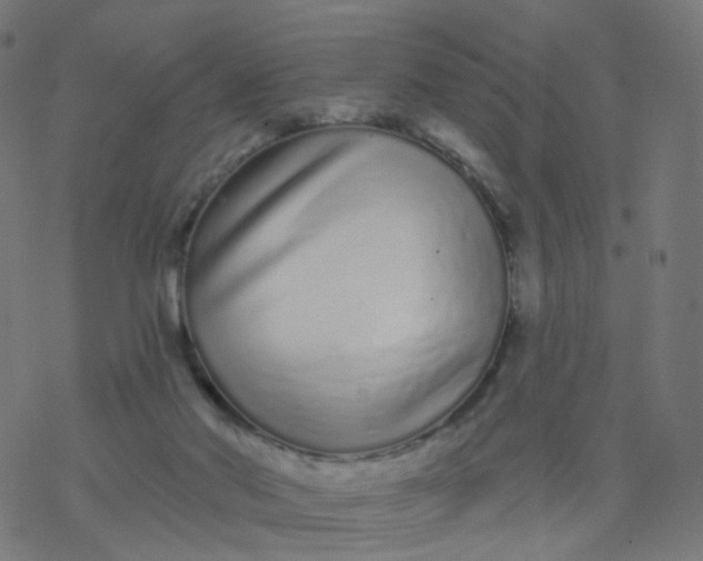 X0000077370022200611031923