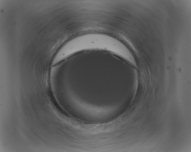 X0000077370023200611031922