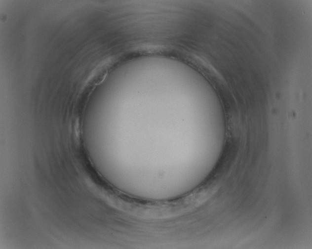 X0000077370024200611031922