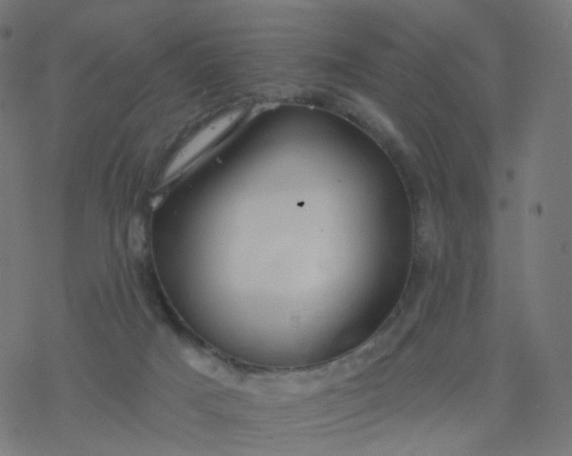 X0000077370025200611031922