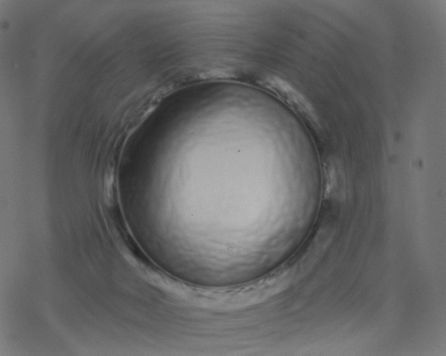 X0000077370026200611031922