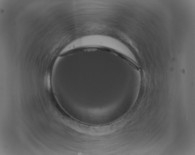 X0000077370027200611031922