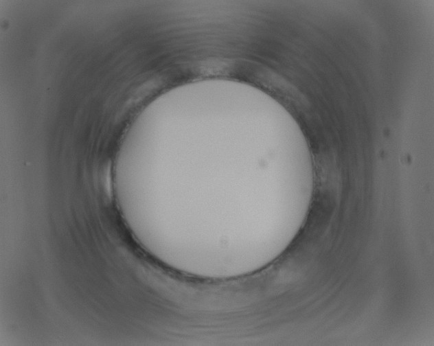 X0000077370028200611031922