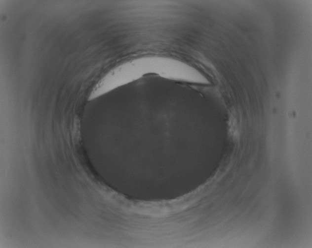 X0000077370029200611031922