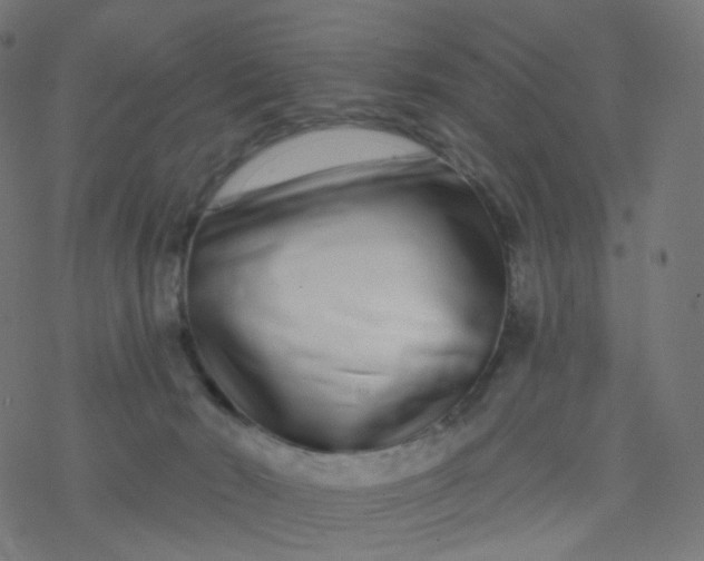 X0000077370030200611031922