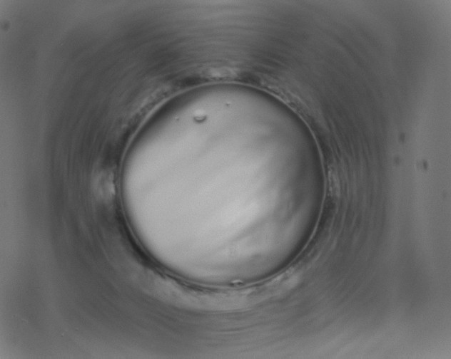 X0000077370032200611031922