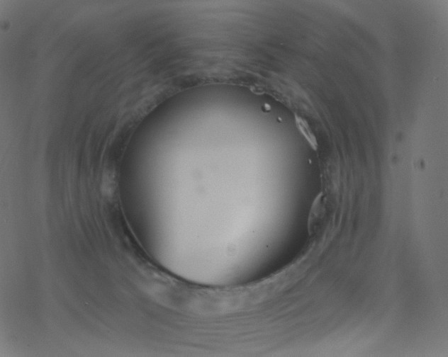 X0000077370033200611031922