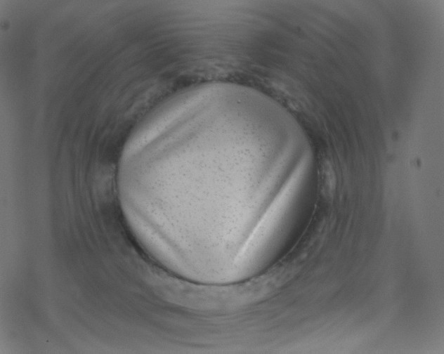 X0000077370034200611031922