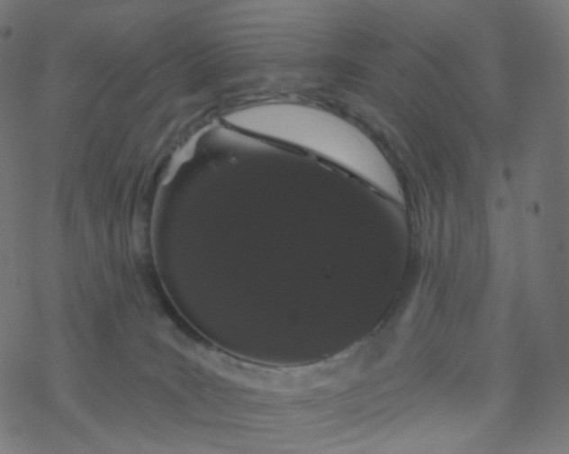 X0000077370035200611031922