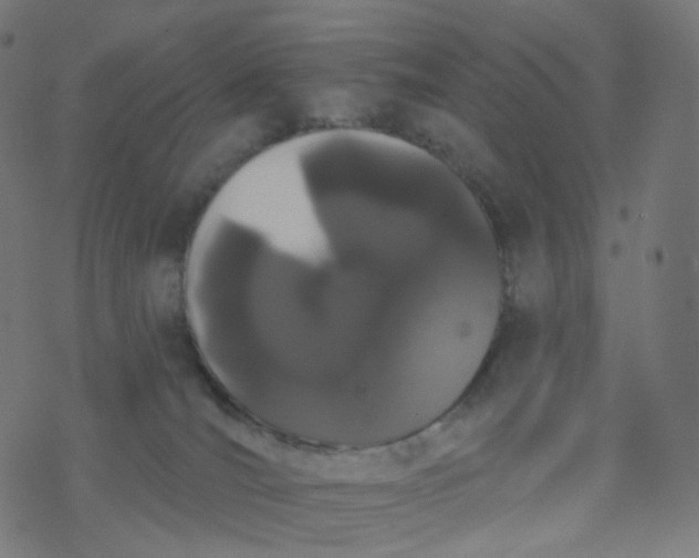 X0000077370036200611031922