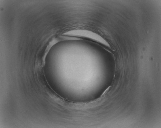 X0000077370037200611031922